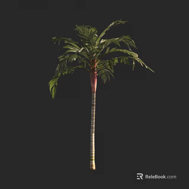 Tall Arbor With Lush Green Foliage And Straight Trunk In Natural Landscape 3d model 