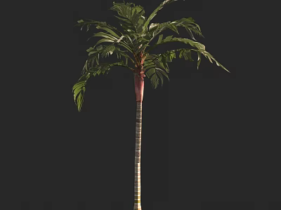 Tall Arbor With Lush Green Foliage And Straight Trunk In Natural Landscape 3d model