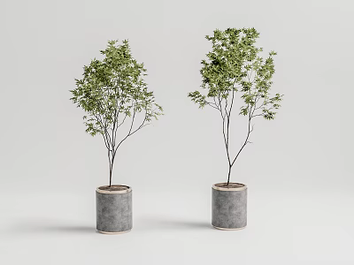 Modern potted plant potted landscape tree 3d model