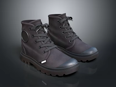 Dark Colored High Top Lace Up Boots With Thick Sole And Round Toe Design 3d model
