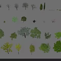 Diverse Collection of Arbor Trees Showcasing Various Sizes Shapes and Foliage Colors