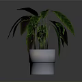 Potted Houseplant with Green and Dark Purple Leaves in Silver Pot on White Background