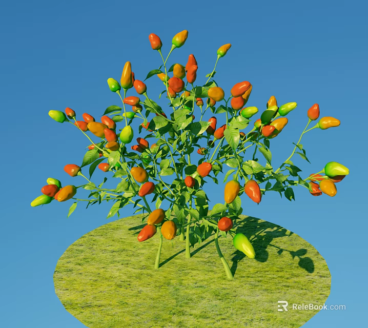 Colorful Chili Peppers Growing On Green Plant With Blue Sky Background 3d model 