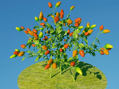 Colorful Chili Peppers Growing On Green Plant With Blue Sky Background 3d model