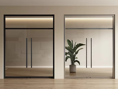 Modern Glass Double Doors With Black And Silver Frames Indoor Wooden Floor Green Plant 3d model