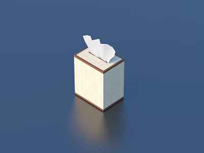 Stylish Tissue Box With Wooden Frame And Light Colored Surface For Home Use 3d model