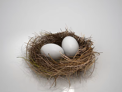 Natural Straw Nest With Two White Eggs On Clean White Background 3d model