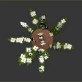 Green Leafy Plant with White Small Flowers Growing in Orange Soil Against Dark Background