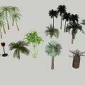 Diverse Arbor Tree Collection With Various Species Including Palm and Broadleaf 3d model