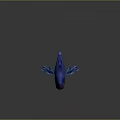 Vibrant Colorful Fish With Blue Body Red And Purple Fins On Gray Background