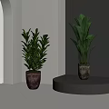 Two Bonsai Potted Plants with Purple Silver Pots Green Leaves on Floor and Round Platform