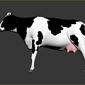 Black and White Spotted Cow Standing with Yellow Hooves and Red Nose on Gray Background
