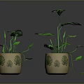 Green Leafy Plants in Decorative Pots with Leaf Patterns for Interior Decor