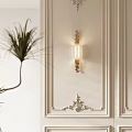 Elegant Wall Lamp on White Wall with Ornate Molding and Green Plant