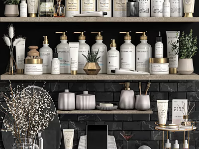 Stylish Modern Bathroom Accessories With Ceramic Bottles Jars And Green Plants On Shelves 3d model