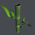 Green Bamboo Stems With Fresh Leaves And Nodes On Dark Background 3d model