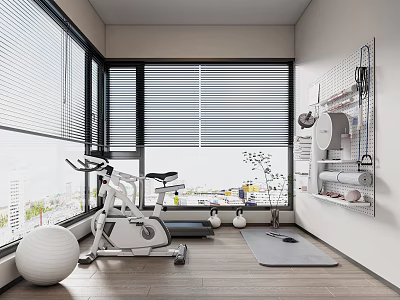 Bright Entertainment Room With Exercise Bike Treadmill Yoga Mat Wall Shelves And City View 3d model