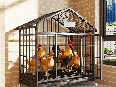 Black Metal Chicken Cage With Wheels And Chickens Near Brick Wall Window City View 3d model