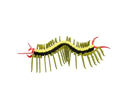 Green and Black Centipede With Red Antennae and Many Legs Illustration 3d model