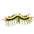 Green and Black Centipede With Red Antennae and Many Legs Illustration