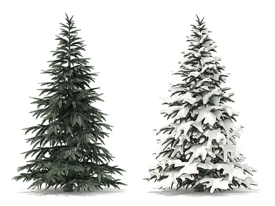 Two Green And Snow Covered Arbor Trees Showcasing Natural Winter Appearance 3d model