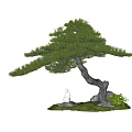 Indoor Landscape with Curved Pine Tree Rocks Green Grass and White Crane