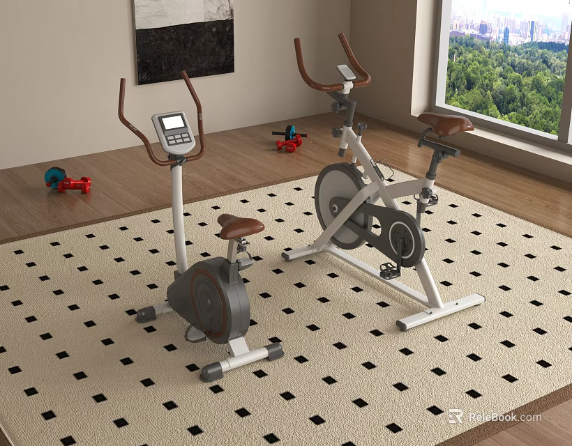 Home Fitness Room Sports Equipment With Exercise Bike Elliptical Trainer And Dumbbells 3d model 