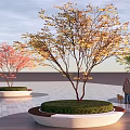 Circular Tree Planter with Colorful Leaf Trees in Urban Paving Area with Person and Dog