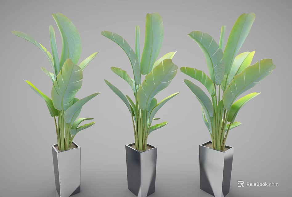 Modern Potted Plants With Large Green Leaves In Silver Geometric Pots 3d model 