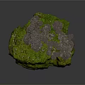 Natural Green Moss Covered Rock Surface With Cluster Of Gray Fungi