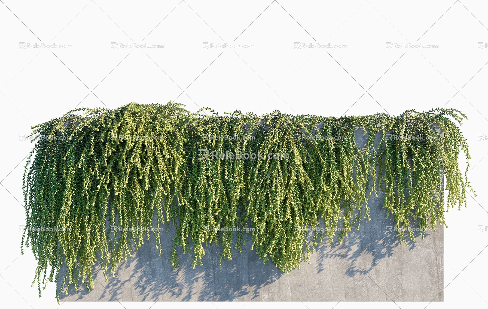 Modern Vine Green Plant Vine Plant Wall White Bodhi Emerald Sedum 3d model