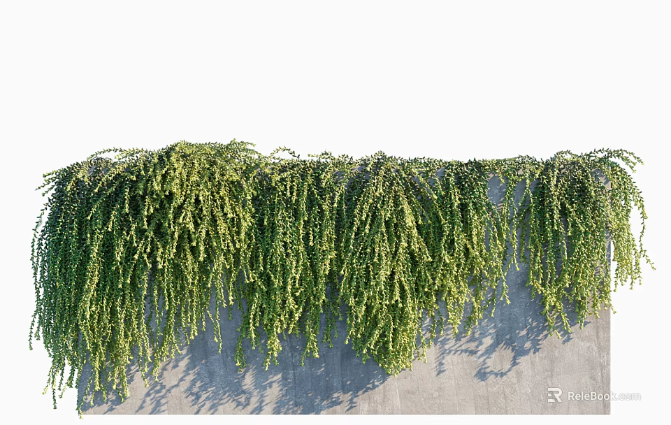 Lush Green Vines Hanging Down From Gray Wall With Dense Foliage 3d model 