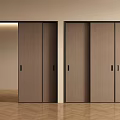 Modern Sliding Doors With Light Brown Wooden Finish And Black Frames In Interior