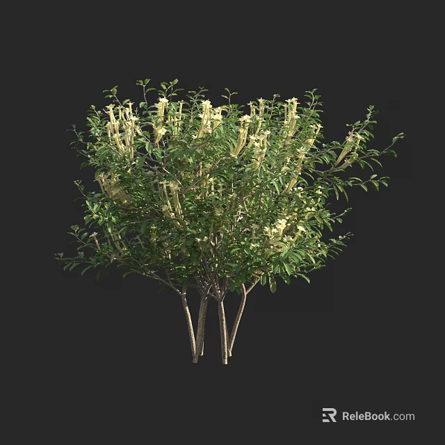 Lush Green Shrub With White Flowers And Multiple Slender Trunks 3d model