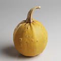 Two Fresh Pumpkins One Round And One Long On White Surface