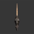 Brown Reptile With Long Tail Standing On Smooth Black Surface 3d model