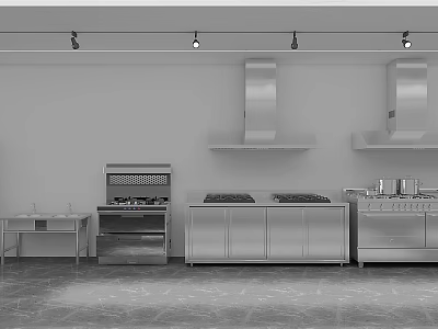 Commercial Kitchen Interior Featuring Stainless Steel Cabinets Range Hoods And Stovetops 3d model