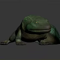 Realistic Green Lizard 3D Model With Smooth Skin Long Tail On Gray Background