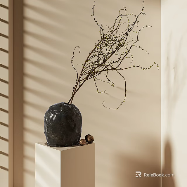 Tree Branches in Black Vase on White Cube Base with Light Shadows and Small Nuts 3d model