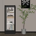 Modern Glass Door Bookcase With Wooden Shelves Decorative Items And Potted Plant