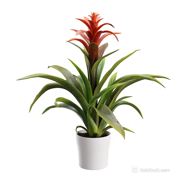 White Vase With Red Flower And Long Green Leaves Decorative Indoor Plant 3d model 