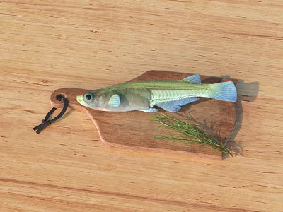 Colorful Green And Blue Fish On Wooden Cutting Board With Fresh Herbs 3d model Colorful Green And Blue Fish On Wooden Cutting Board With Fresh Herbs 3d model