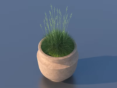 Minimalist Bonsai Potted Plant in Terracotta Pot with Green Grass like Foliage on Blue Background 3d model