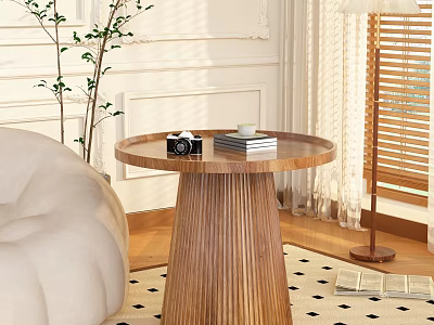 Modern Beige Sofa Round Wooden Coffee Table With Books Camera Green Plant In Bright Room 3d model