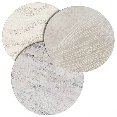 Three Round Rugs With Distinct Textured Patterns In Neutral Tones 3d model