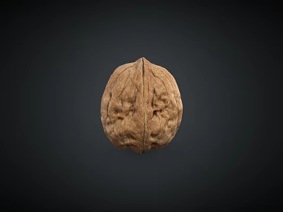 Close up View Of Fresh Single Whole Walnut With Natural Brown Texture On Dark Background 3d model