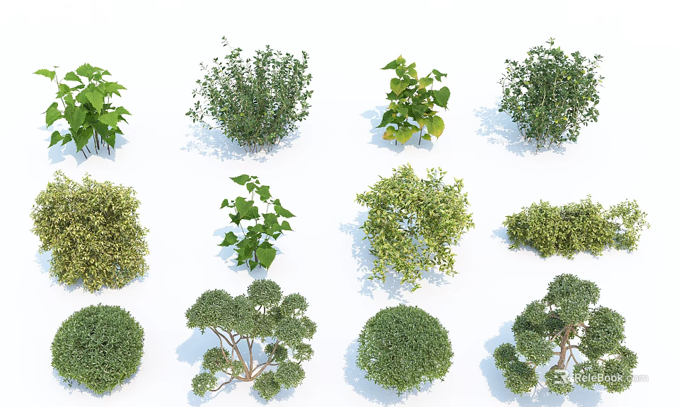 Various Types of Shrubs with Different Shapes and Sizes for Landscaping Design and Garden Decoration 3d model 