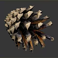 Close Up View Of Natural Pine Cone From Evergreen Tree With Brown Scales