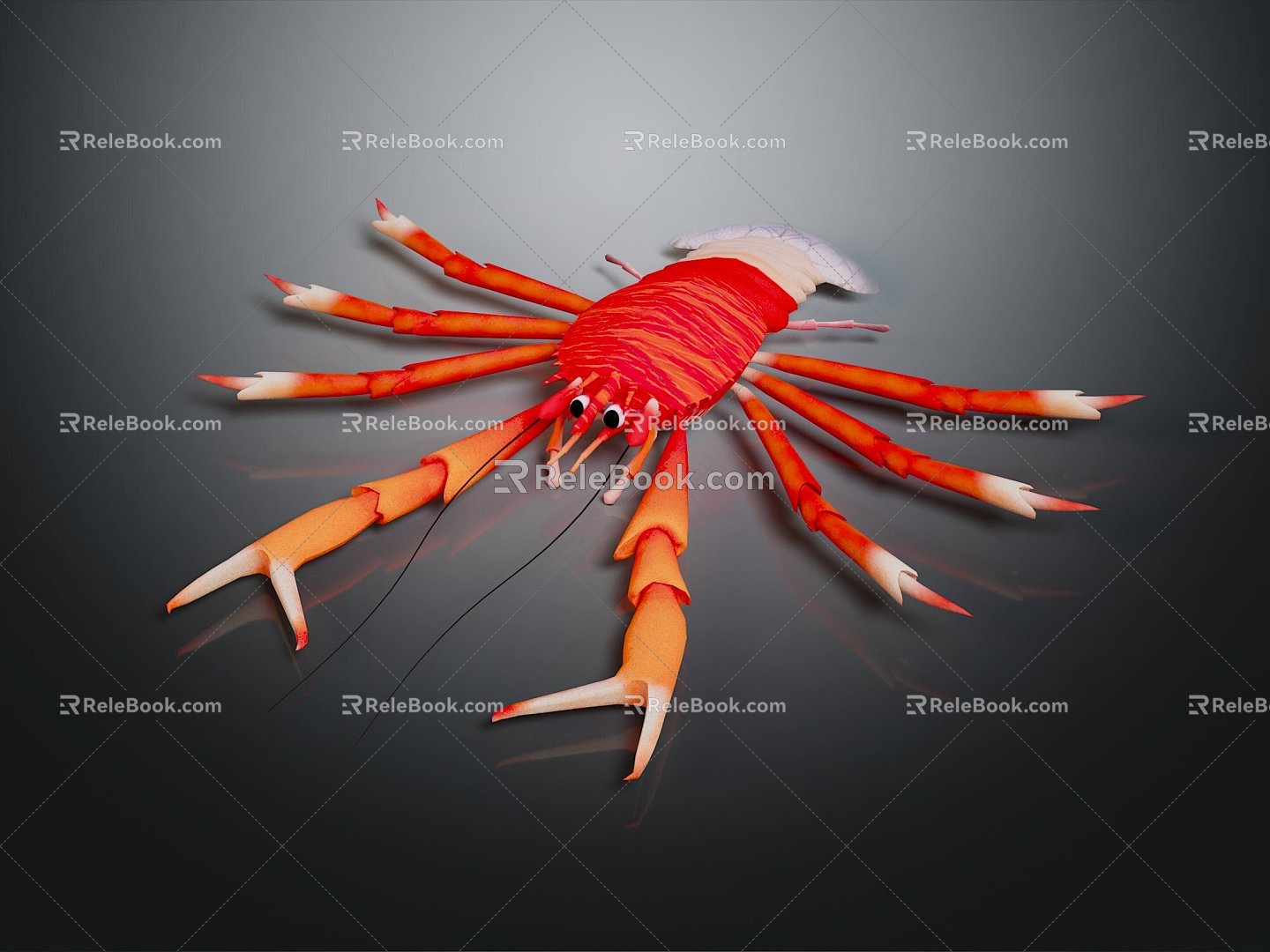 Australian rock lobster Macrobrachium prawn black and white lobster crayfish crayfish green lobster red crab shrimp European blue dragon 3d model