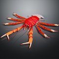 Australian rock lobster Macrobrachium prawn black and white lobster crayfish crayfish green lobster red crab shrimp European blue dragon 3d model